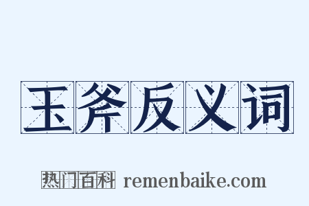 玉斧反义词是什么意思的图片